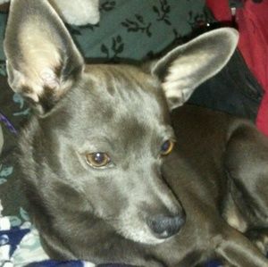 Meet your Posher, Crystal